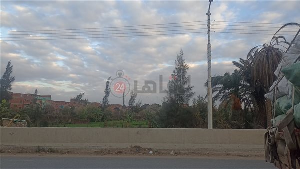 سماء بني سويف 