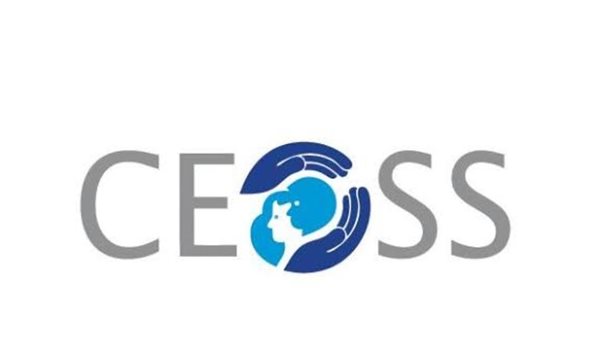 الهيئة الإنجيلية