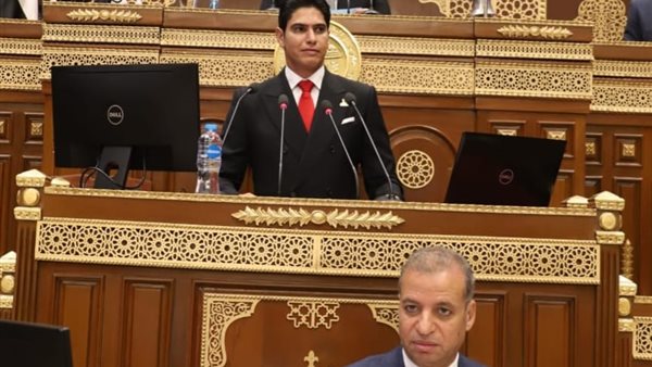 النائب أحمد أبوهشيمة