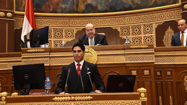  النائب أحمد أبوهشيمة