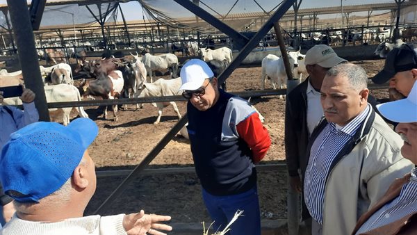 وزير قطاع الأعمال