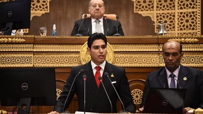 مجلس الشيوخ يسكمل مناقشة دراسة أحمد أبو هشيمة بشأن الشباب وسوق العمل 