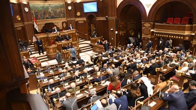 المالية لـ الشيوخ: دخول 850 ألف منشأة قطاع غير رسمي إلى المنظومة الرسمية خلال الفترة الماضية 