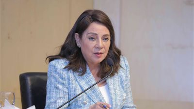 رئيس لجنة إعلام النواب: القوانين الرقابية تعبر عن السلطة السياسية.. والدولة تتدخل في صناعة الأفلام 