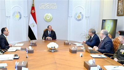 السيسي يوجه بتحديد سعر مجزٍ لتوريد القمح ليحقق عائدًا اقتصاديًا للمزارعين