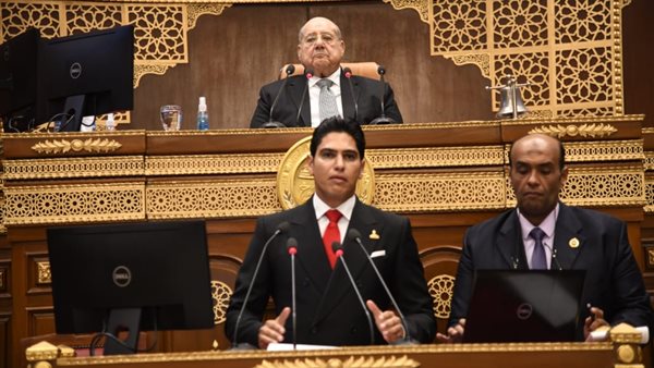  النائب أحمد أبوهشيمة