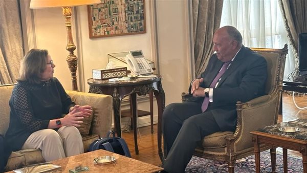 وزير الخارجية يلتقي