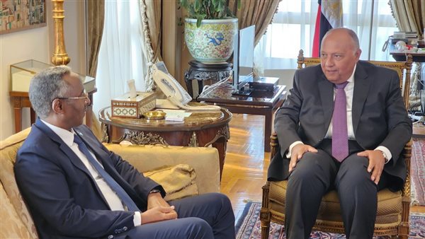 وزير الخارجية يلتقي