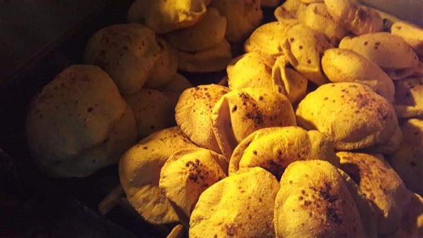 تموين المنيا 