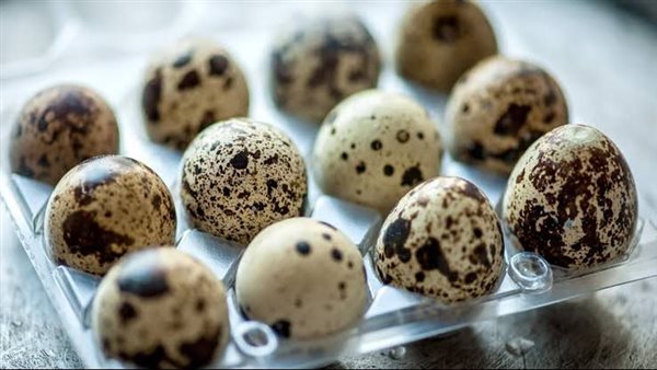 اسعار البيض السمان