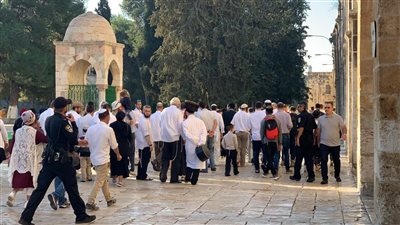 مستوطنون يقتحمون باحات المسجد الأقصى تحت حراسة شرطة الاحتلال