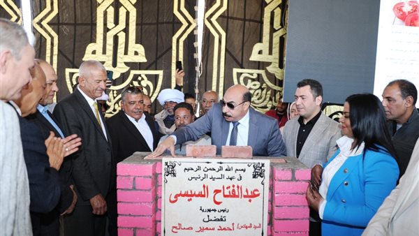 محافظ أسوان