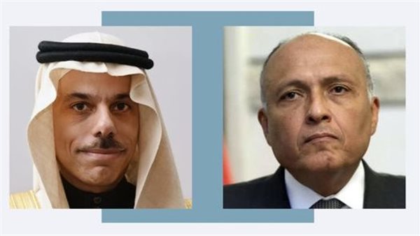 وزير الخارجية ونظيره