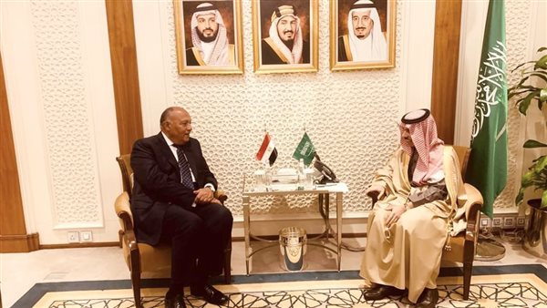 وزير الخارجية ونظيره