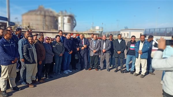 قوى عاملة اسكندرية