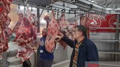 تفاصيل ضبط أغذية فاسدة ومجهولة المصدر بكارفور المعادي | بث مباشر