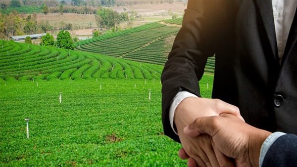 اليونان تناقش تفاصيل