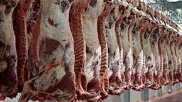 ذبائح_ تعبيرية 