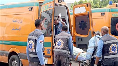 صيدلي يطعن سيدة بسكين أمام المارة في الشارع بالعجوزة.. ويردد: دي مرات المسيخ الدجال | بث مباشر