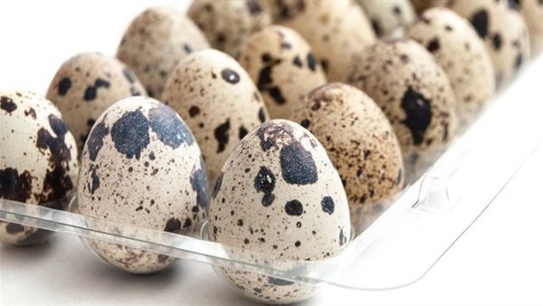 طريقة حفظ بيض السمان