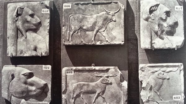 المتحف المصري بالتحرير