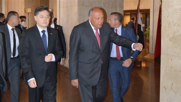 شكري يستقبل وزير