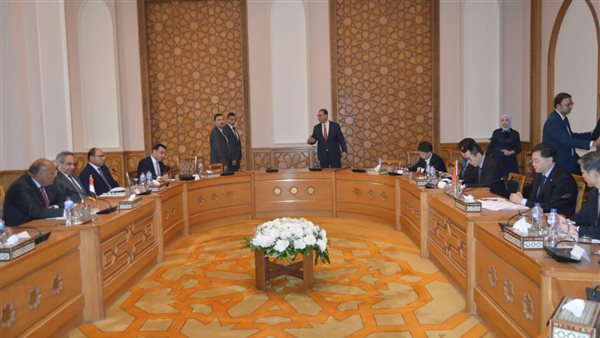 شكري ووزير الخارجية