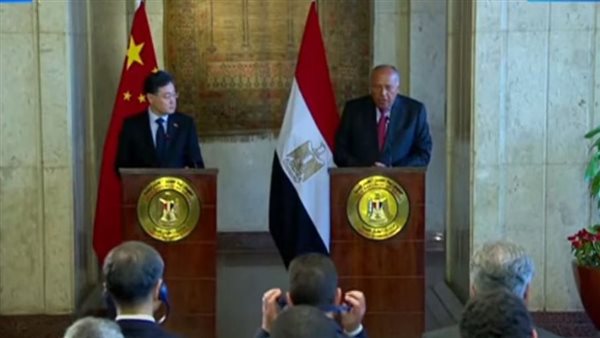 شكري ووزير الخارجية