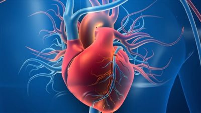 بأسئلة بسيطة.. اختبار جديد للكشف عن صحة عضلة القلب