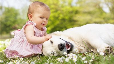 دراسة: الأطفال الصغار أقل من عامين يندفعون لمساعدة الكلاب