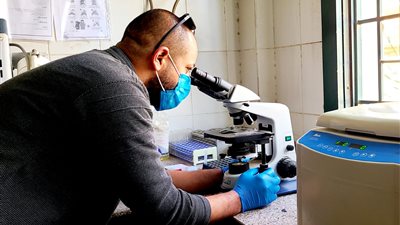 معمل التحاليل الطبية بقافلة الأزهر في سوهاج.. جسر التشخيص بين الطبيب والمريض │ صور