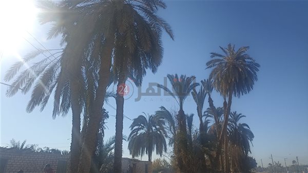 سماء بني سويف 