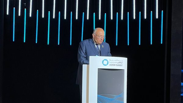 سامح شكري وزير الخارجية