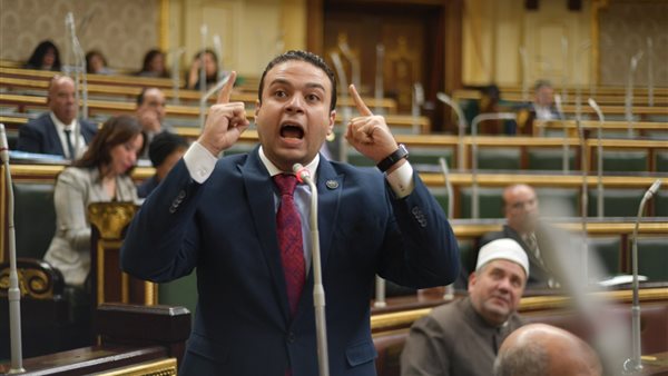 النائب عبد المنعم