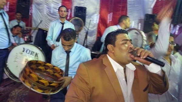 الفنان احمد الصاوى