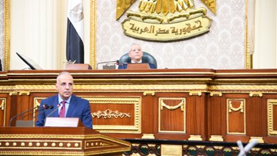 برلماني لـ وزير الري: الوزارة ما زالت تصمم على ملاحقة المواطنين بغرامات 