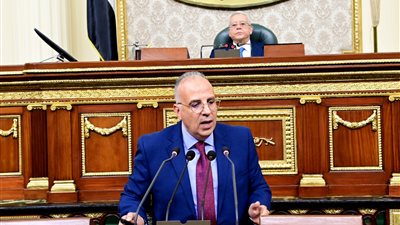 وزير الري لـ النواب: تكلفة رفع القمامة من الترع تصل إلى 270 مليون جنيه سنويًا