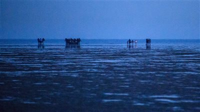 بريطانيا: لم يتم تسجيل عبور مهاجرين للقنال الإنجليزي على مدار أسبوعين