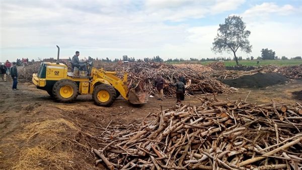 جانب من إزالة مكامير
