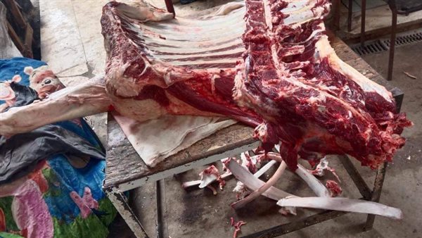 جانب من الحملة