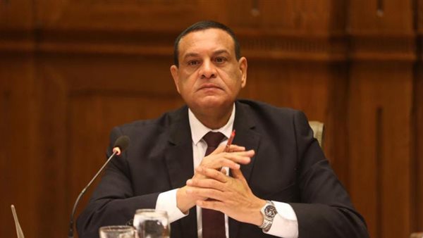 وزير التنمية المحلية