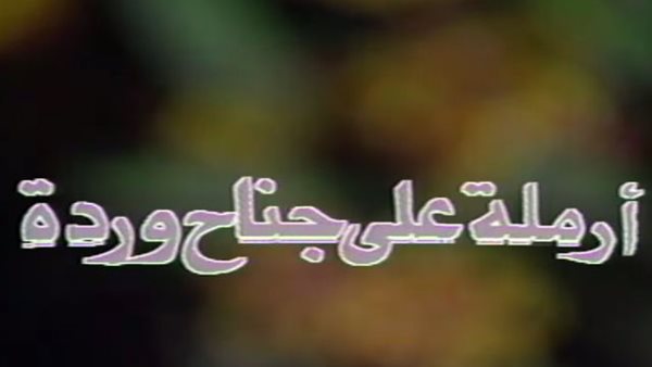 أرملة على جناح وردة