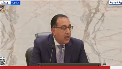 رئيس الوزراء: تحديد سعر أردب القمح 1250 جنيهًا