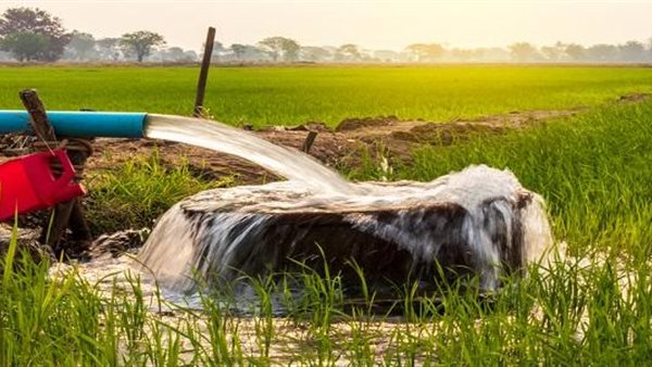 38.2 مليار متر مكعب كمية المياه المستخدمة في ري المحاصيل الزراعية خلال 2021