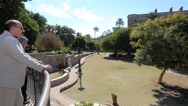 محافظ أسوان