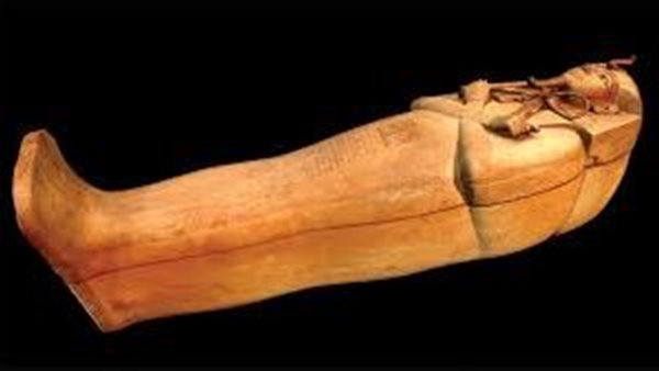  التابوت الخشبي الخاص