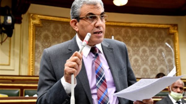 عادل عبد الفضيل