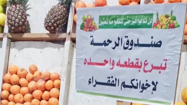  فكهاني بالأقصر ينشىء