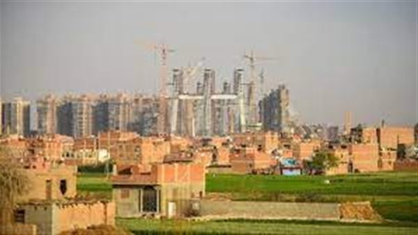 جزيرة الوراق