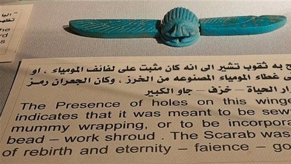  الجعران المجنح 